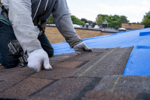 Best Residential Roofing Contractor  in Ladoga, IN