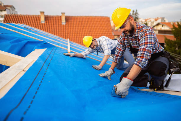 Best Roof Replacement Cost  in Ladoga, IN