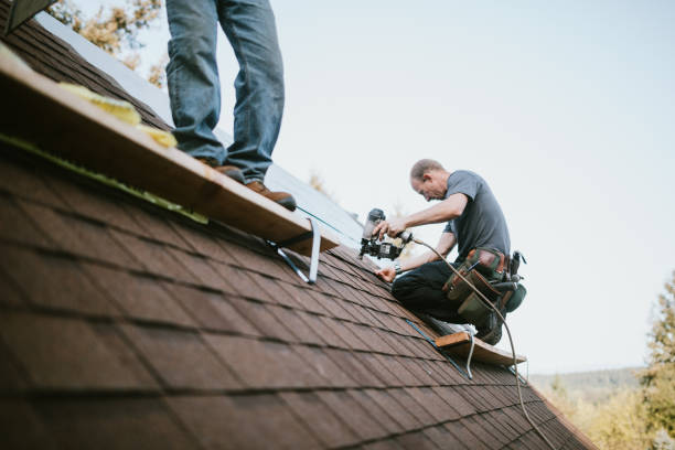 Best Flat Roof Repair Services  in Ladoga, IN