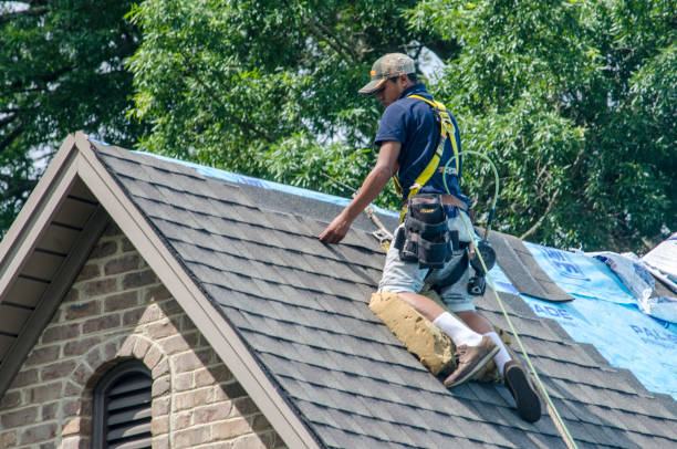 Best Roof Gutter Cleaning  in Ladoga, IN